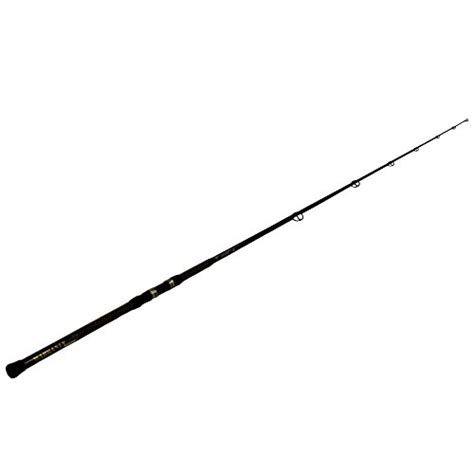 best fishing rod reforge .